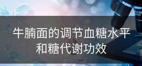 牛腩面的调节血糖水平和糖代谢功效